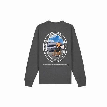 FW25 Pullover Oval Backprint Filou CLI. - Stone grey