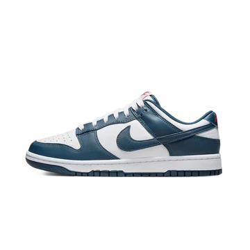Nike Dunk Low Valerian Blue